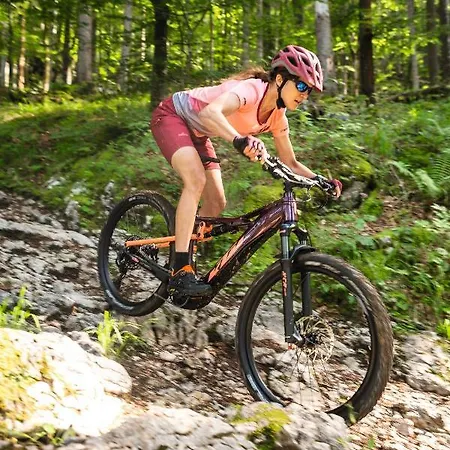 Hotel See-hotel Post Am Attersee 4*