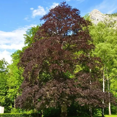 See-hotel Post Am Attersee 4* Weissenbach am Attersee