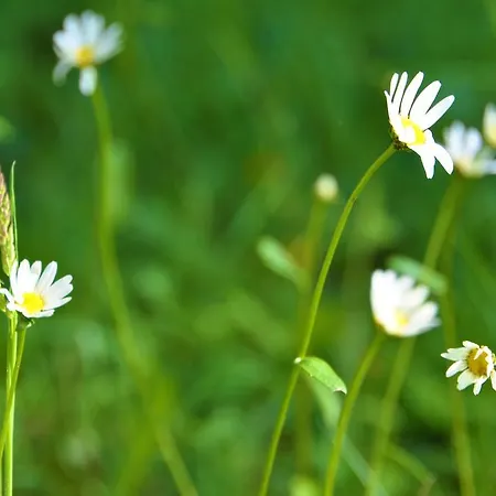 See-hotel Post Am Attersee