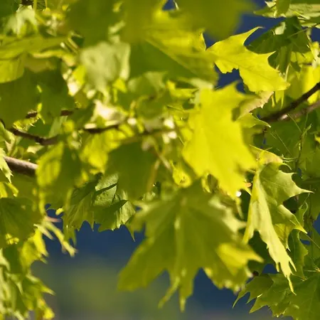 Hotel See-hotel Post Am Attersee Weissenbach am Attersee