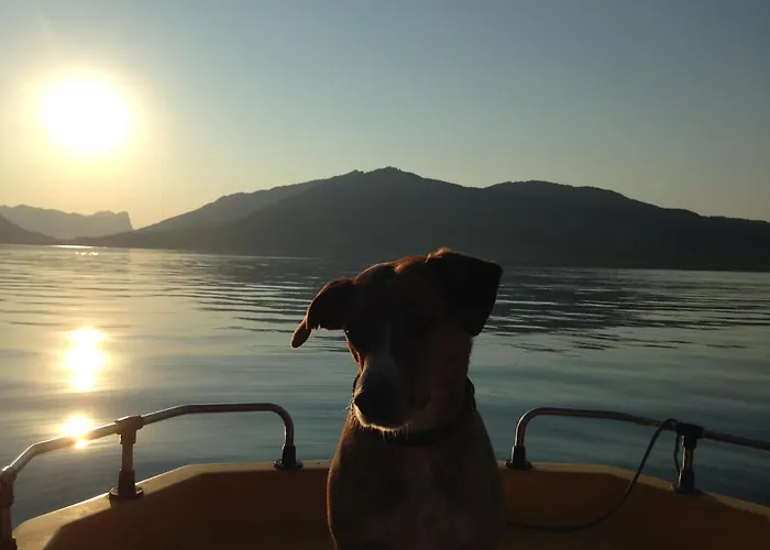See-hotel Post Am Attersee فندق فايسينباخ ام أتيرسي