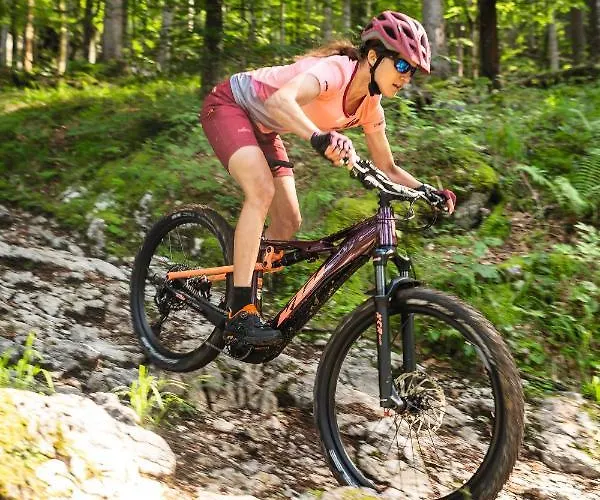 Hotell See-hotel Post Am Attersee 4*