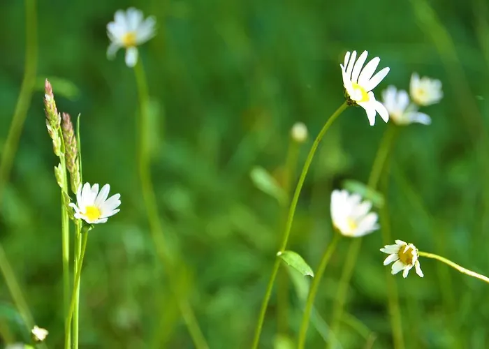 See-hotel Post Am Attersee